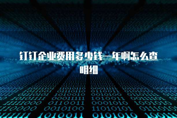 钉钉企业费用多少钱一年啊怎么查明细
