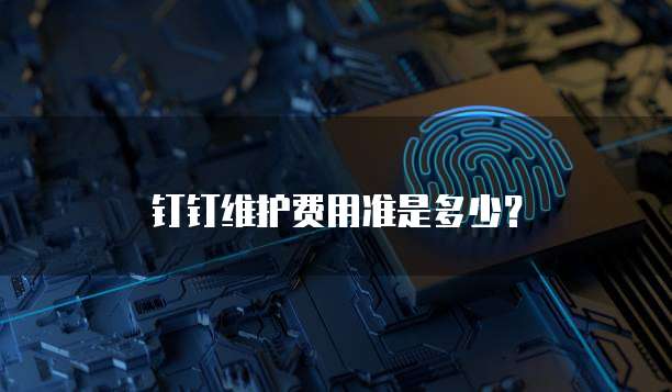 钉钉维护费用准是多少？