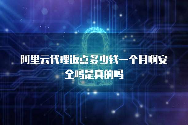 阿里云代理返点多少钱一个月啊安全吗是真的吗