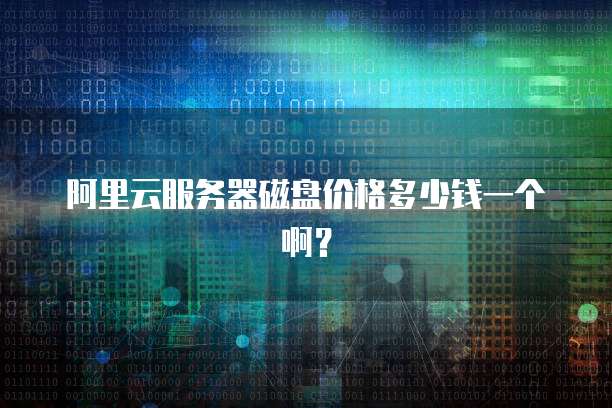 阿里云服务器磁盘价格多少钱一个啊?