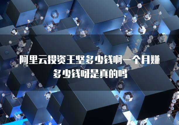阿里云投资王坚多少钱啊一个月赚多少钱呀是真的吗