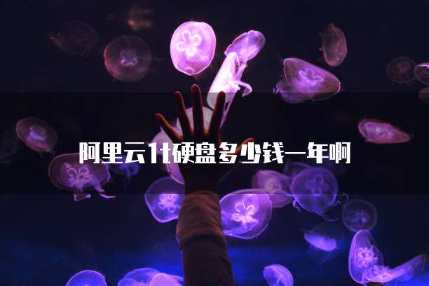 阿里云1t硬盘多少钱一年啊