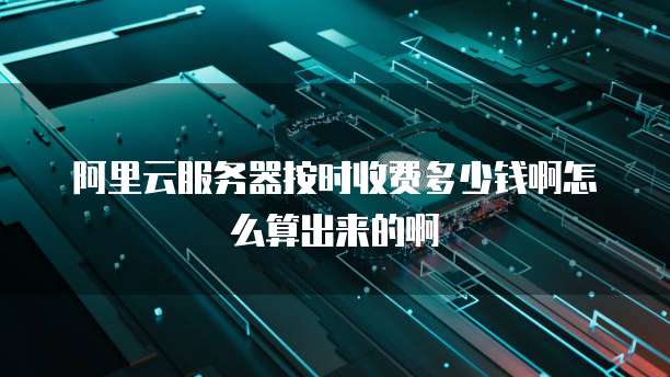 阿里云服务器按时收费多少钱啊怎么算出来的啊