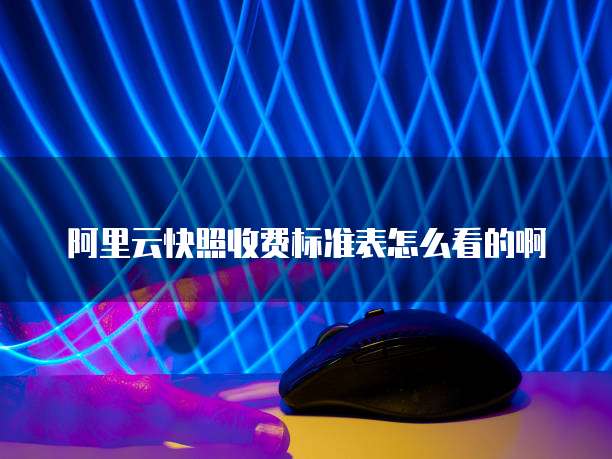 阿里云快照收费标准表怎么看的啊