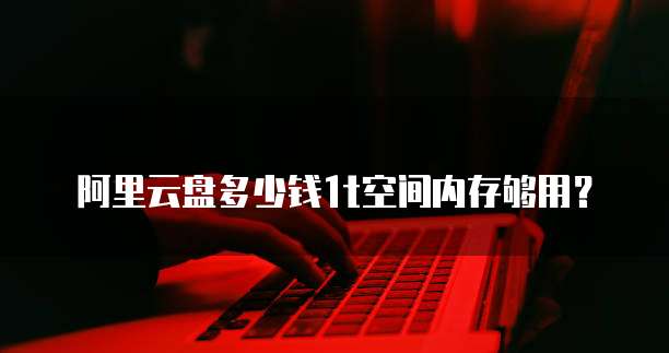 阿里云盘多少钱1t空间内存够用？