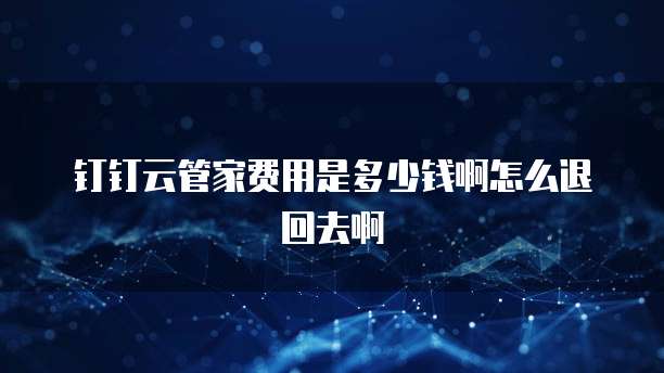钉钉云管家费用是多少钱啊怎么退回去啊