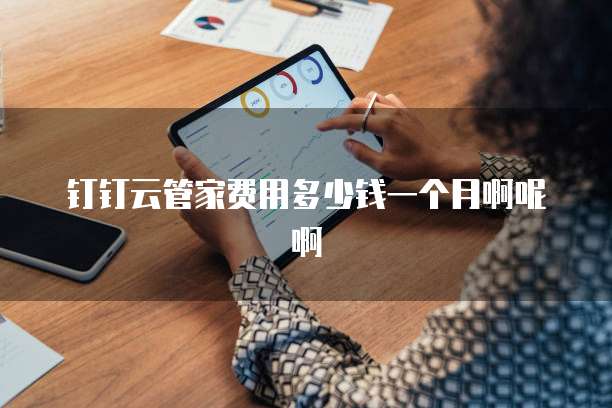 钉钉云管家费用多少钱一个月啊呢啊