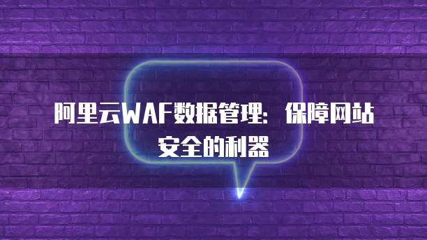 阿里云WAF数据管理:保障网站安全的利器