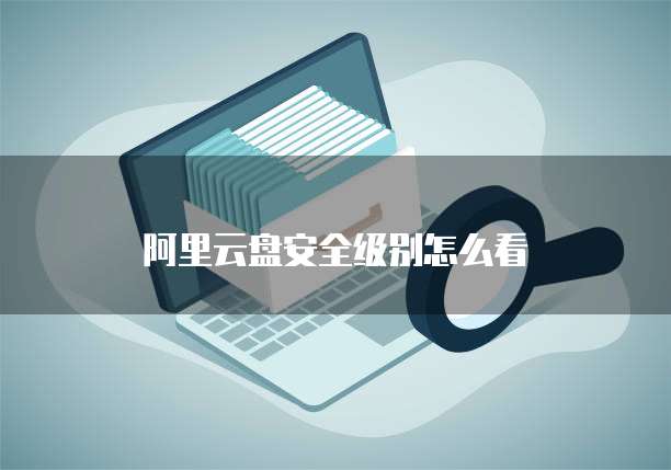 阿里云盘安全级别怎么看