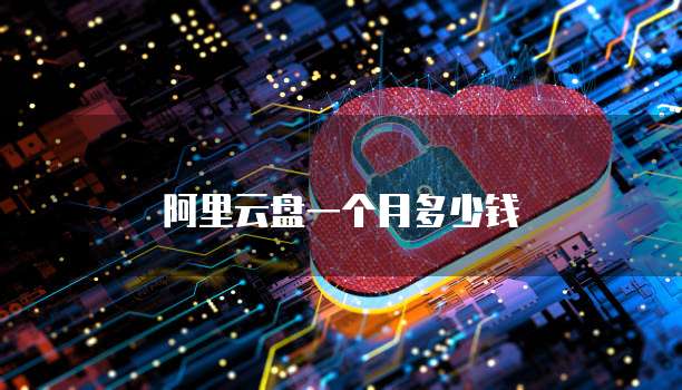 阿里云盘一个月多少钱