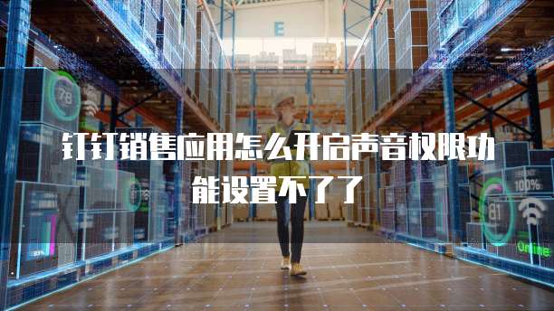 钉钉销售应用怎么开启声音权限功能设置不了了