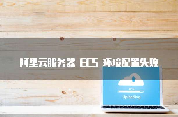 阿里云服务器 ECS 环境配置失败
