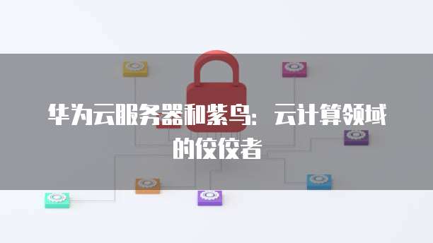 阿里云购买服务器推荐码是什么意思啊