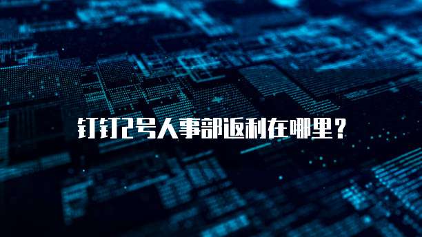 钉钉2号人事部返利在哪里？