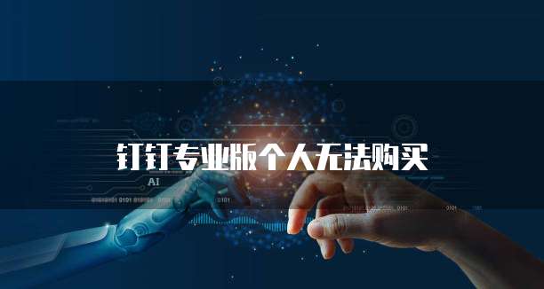 钉钉专业版个人无法购买