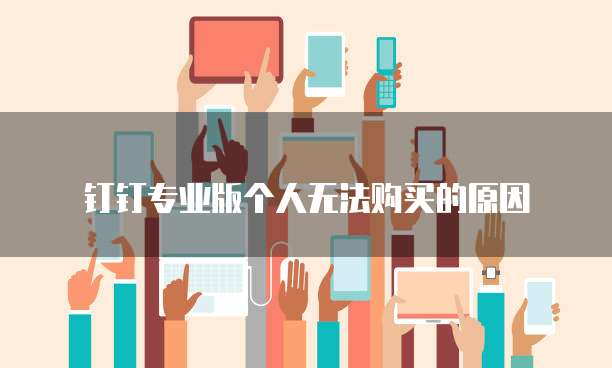 钉钉专业版个人无法购买的原因