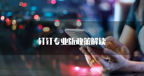 钉钉专业版政策解读