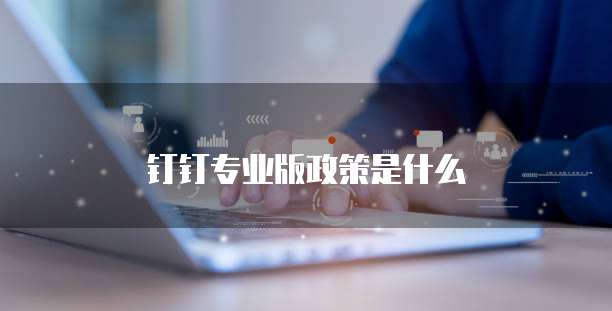 钉钉专业版政策是什么