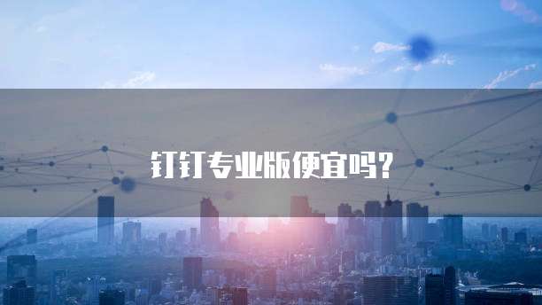 钉钉专业版便宜吗？