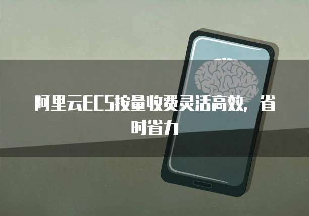 阿里云ECS按量收费灵活高效，省时省力