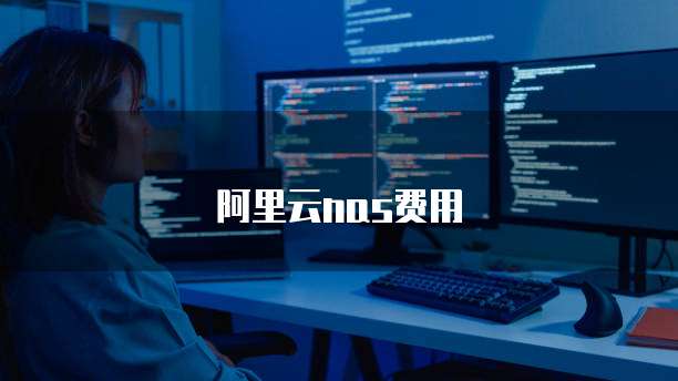 阿里云nas费用