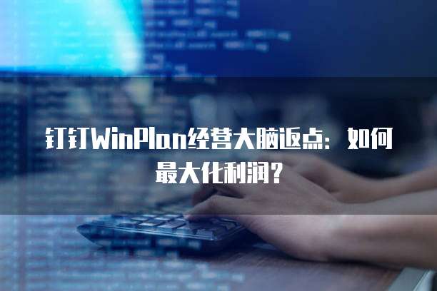 钉钉WinPlan经营大脑返点:如何最大化利润?