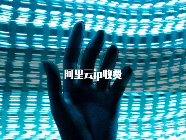 阿里云ip收费