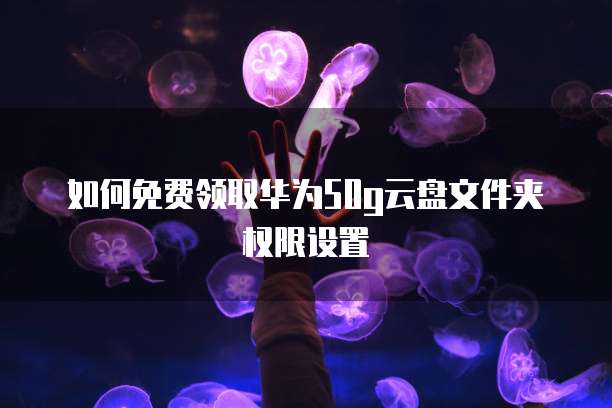 买了阿里云服务器怎么登录不了了呢?