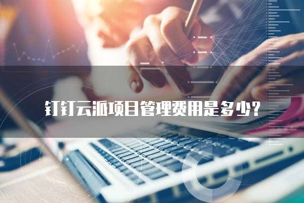 钉钉云派项目管理费用是多少？
