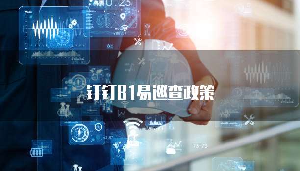 钉钉B1易巡查政策