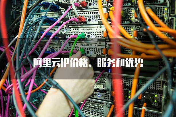 阿里云IP价格、服务和优势