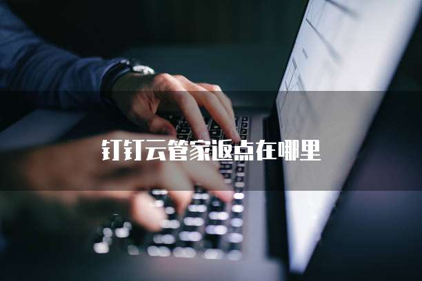 钉钉云管家返点在哪里