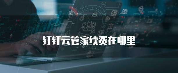 钉钉云管家续费在哪里