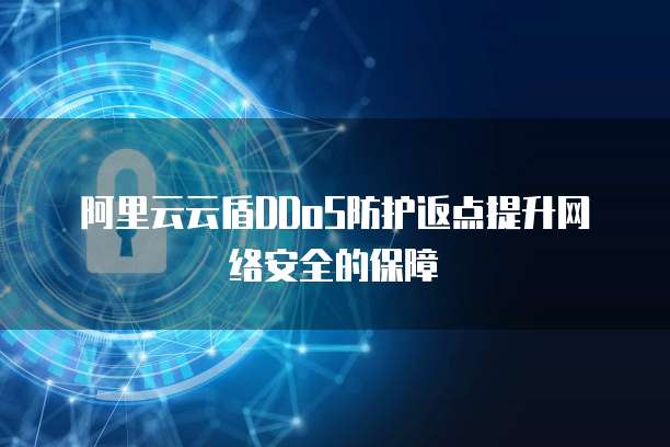 阿里云云盾DDoS防护返点提升网络安全的保障