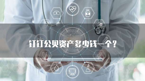 钉钉公贝资产多少钱一个?