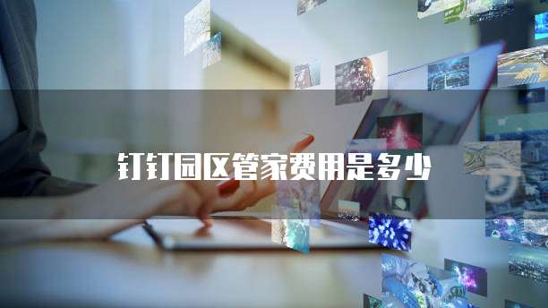钉钉园区管家费用是多少
