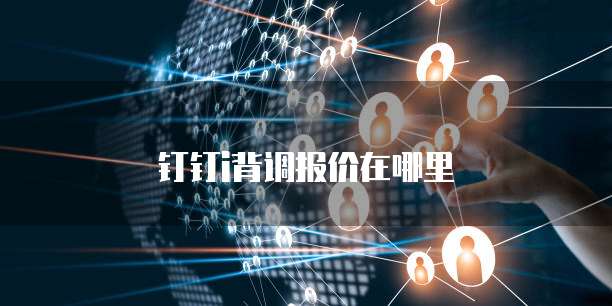 钉钉i背调报价在哪里