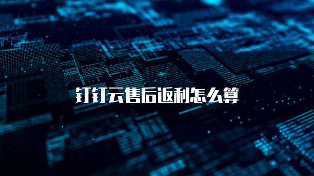 钉钉云售后返利怎么算