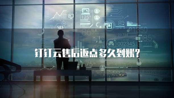 钉钉云售后返点多久到账?