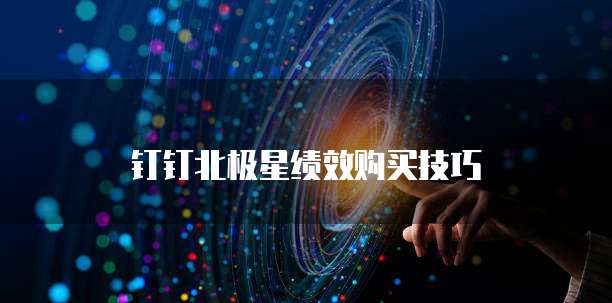 钉钉北极星绩效购买技巧