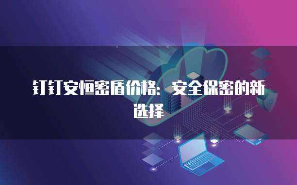 钉钉安恒密盾价格:安全保密的新选择