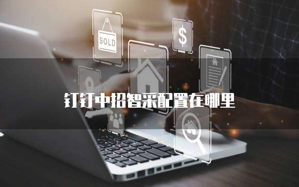 钉钉中招智采配置在哪里