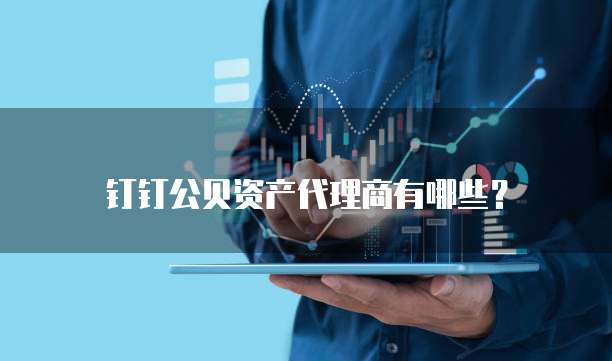 钉钉公贝资产代理商有哪些?