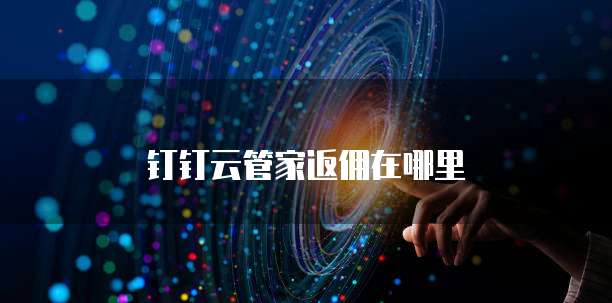 钉钉云管家返佣在哪里