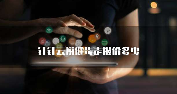 钉钉云悦健步走报价多少