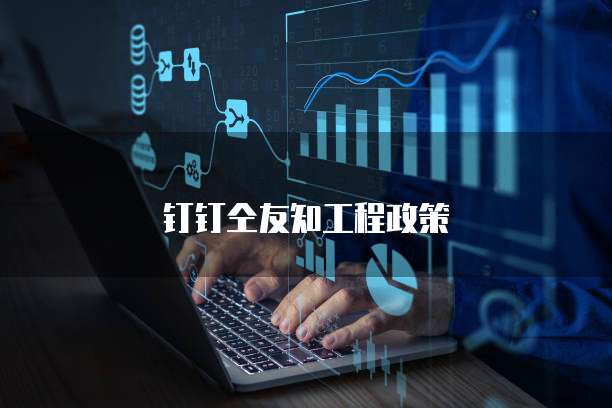 钉钉仝友知工程政策