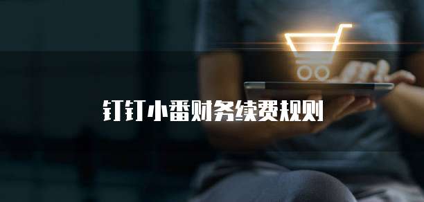 钉钉小番财务续费规则