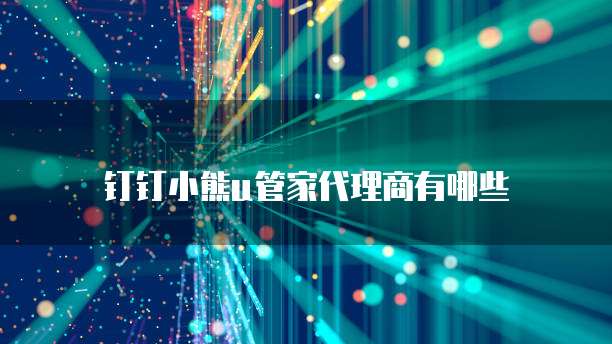 钉钉小熊u管家代理商有哪些