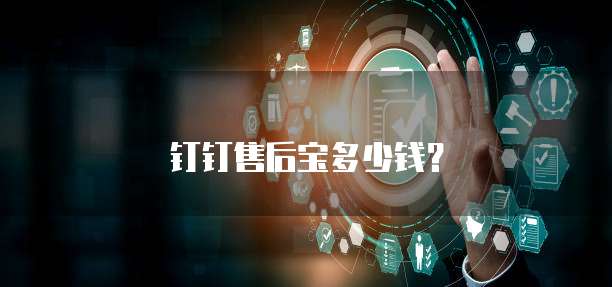 钉钉售后宝多少钱？