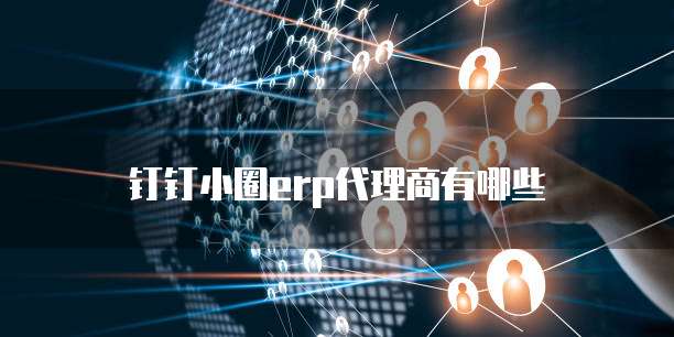 钉钉小圈erp代理商有哪些